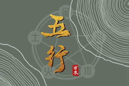紫微十四主星详解|命盘四柱查询|命盘十二宫查询|查询十二宫位|紫微星占卜